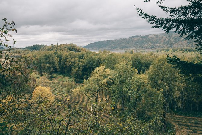 Afternoon Multnomah Falls and Gorge Waterfalls Tour - Pick-Up and Drop-Off