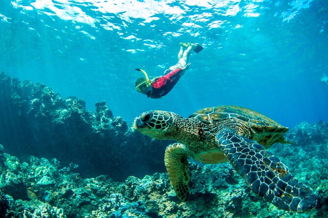 Afternoon West Maui Snorkel From Ka'Anapali Beach - Safety and Accessibility