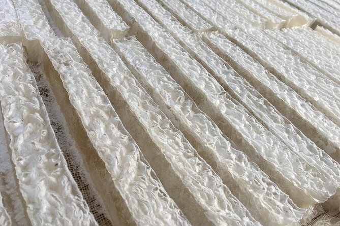 Agar Factory Tour and Tasting Experience at Chino City - Exploring the Irisen Agar Factory & Direct Sales Store