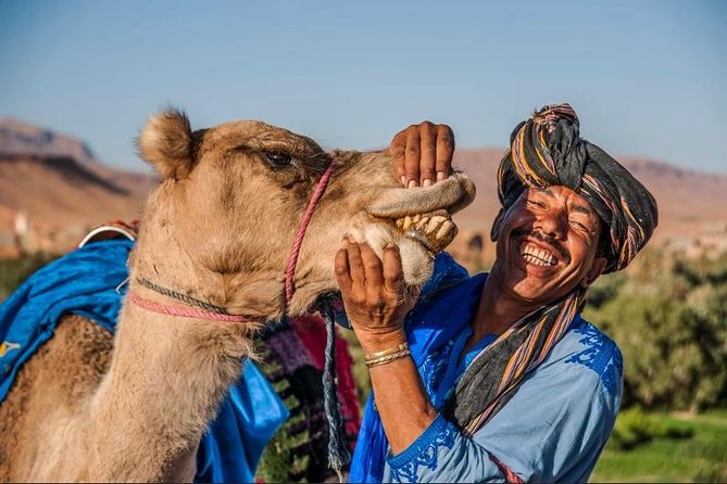 Ait Ben Haddou and Ouarzazate Day Trip From Marrakech