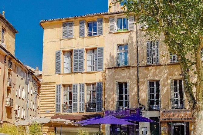 Aix-en-Provence: Private Walking Tour - Uncovering the Stories Behind Aix-en-Provence