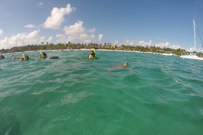 Akumal ,turtles and Gopro - Snorkeling Experience Overview