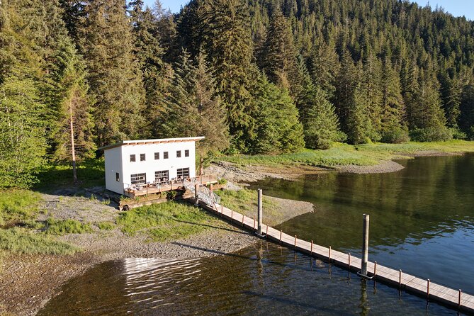 Alaska Bears and Silver Bay Homestead - Preparing for the Adventure