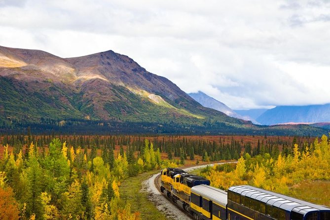 Alaska Railroad Anchorage to Denali One Way - Booking and Costs