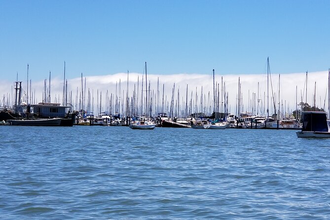 Alcatraz With Muir Woods and Sausalito Tour Review - Tour Duration and Capacity