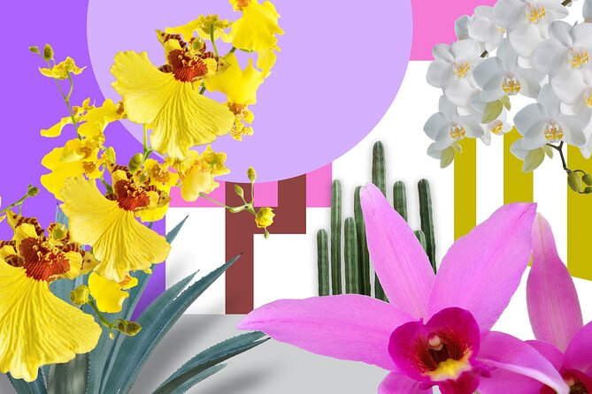 All-Garden Pass for the New York Botanical Garden - Ticket Information and Accessibility