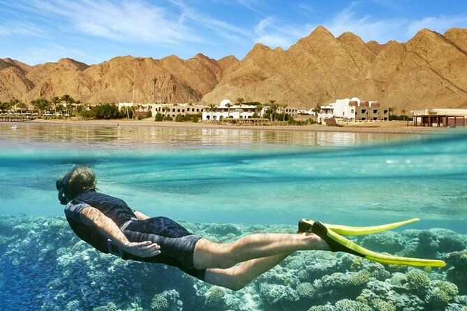 All in 1 Diving & Snorkeling & Seafood & Water Sport -Hurghada - Booking and Cancellation Policy