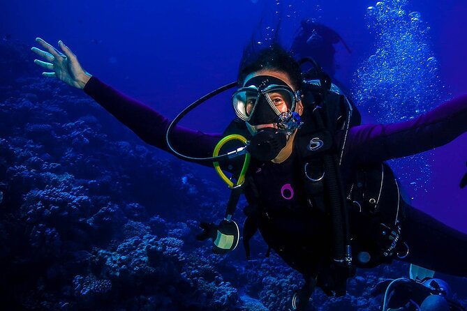All in One Intro Diving & Snorkeling & Massage & Seafood & Water Sport -Hurghada - Transportation Options