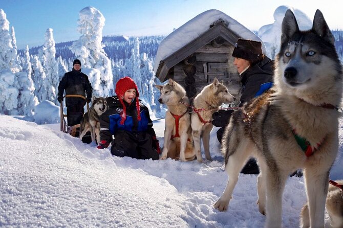 All in One Santa Claus Village With Husky Sledding Adventure - Accessibility