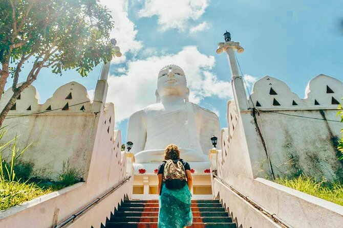 All Inclusive Kandy Private Day Tour From Colombo and Negombo - Accessibility and Additional Info
