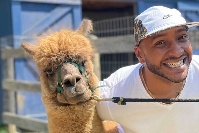 Alpaca and Llama Trek in Pleasant Valley - Location and Transportation