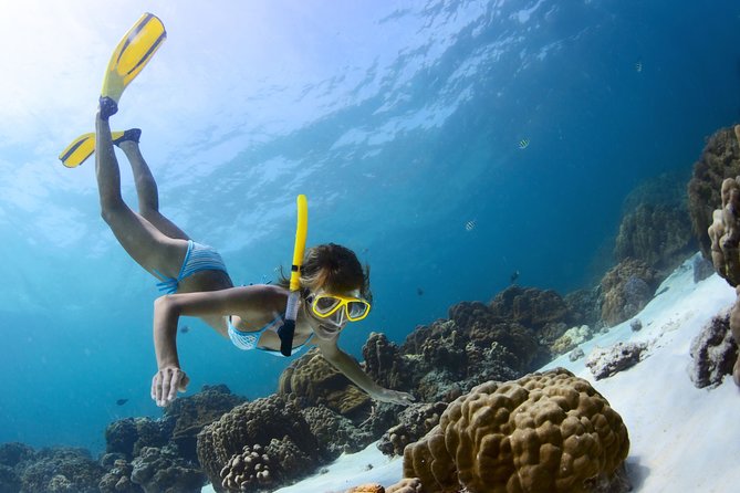 Amazing Snorkeling Experience in Cancun - Customer Feedback and Ratings
