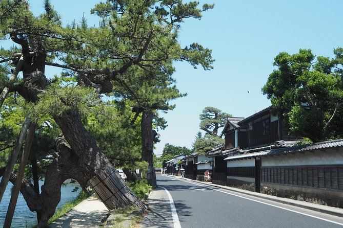 An E-Bike Cycling Tour of Matsue That Will Add to Your Enjoyment of the City - Convenient Meeting and Pickup Options