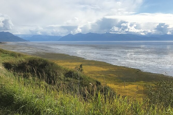 Anchorage to Seward Cruise Transfer Review - Customer Reviews and Feedback