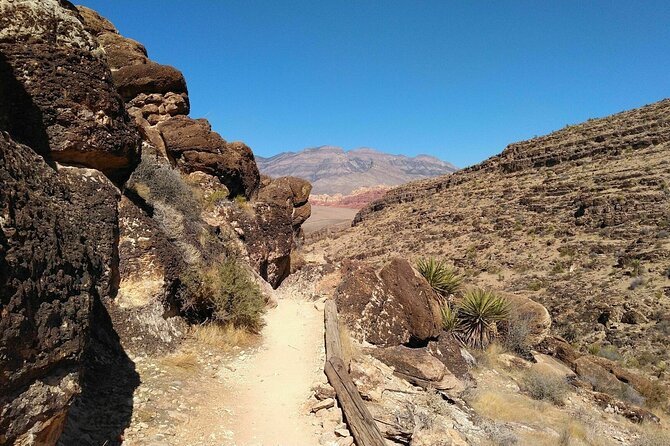 Animal Petting and Sunset Hike in Las Vegas - Scenic Trail Highlights