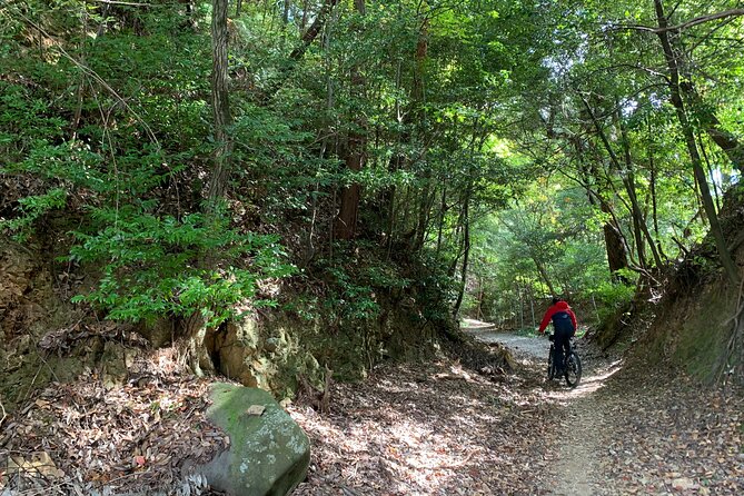 Arashiyama Kinkakuji Quiet Trail E-Bike Tour With Hotel Transfer - E-Bike Experience