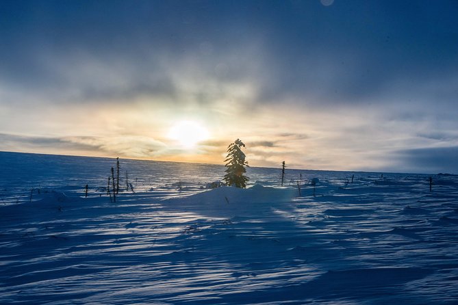 Arctic Circle Aurora Drive Adventure - Important Information and Guidelines