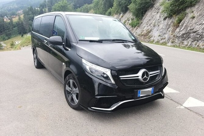 Argostoli to Kefalonia Airport (EFL): Departure Private Transfer - Accessibility and Participation