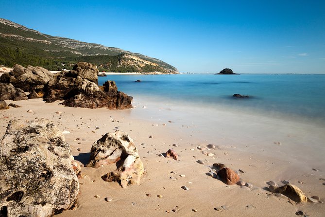 Arrabida Private Full-Day Wine Excursion - Booking Options