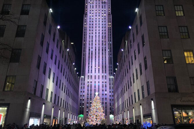 Artful Holiday Lights & Sights - Inclusions and Pricing