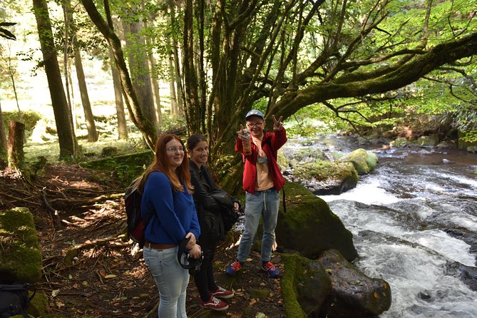 Aso Caldera and Farm Experience Tour - Experience Highlights