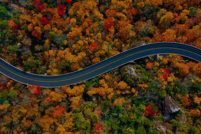 Atlanta to Amicalola Falls Tour Review - Reviews and Customer Feedback