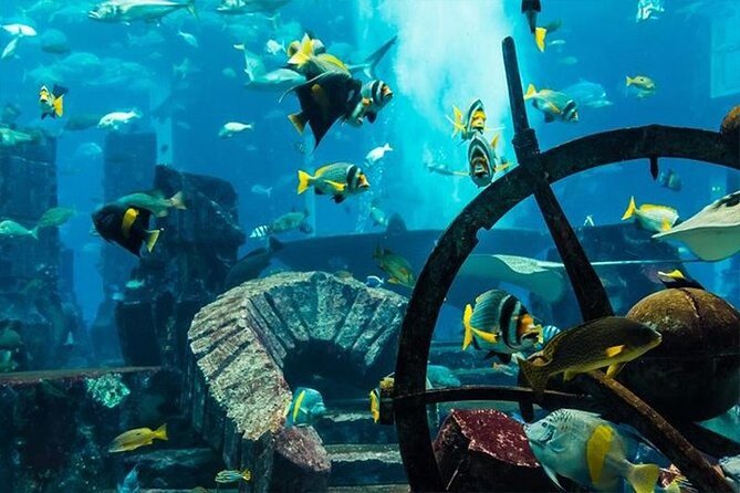 Atlantis Lost-Chamber Aquarium Dubai - Accessibility Information