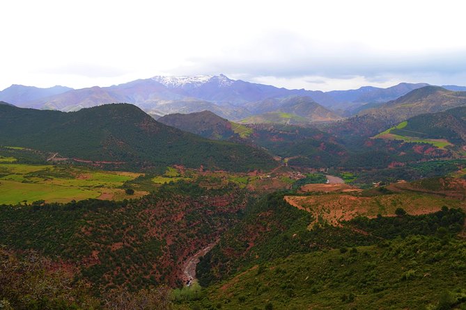 Atlas Mountains and 4 Valleys Private Tour From Marrakech - Pricing and Group Size