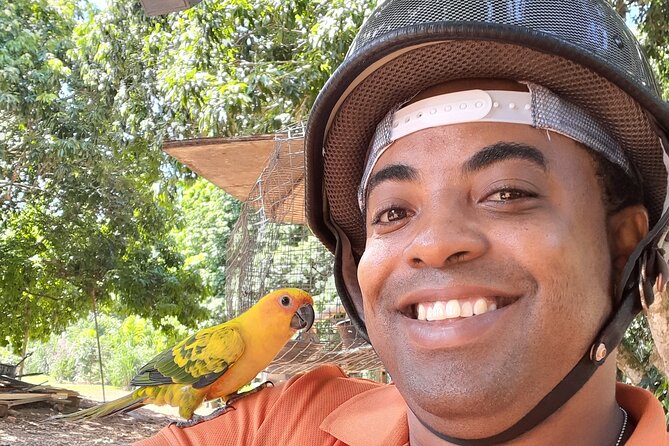 ATV Jungle Ride Adventure in Montego Bay With Transportation - Accessibility Considerations