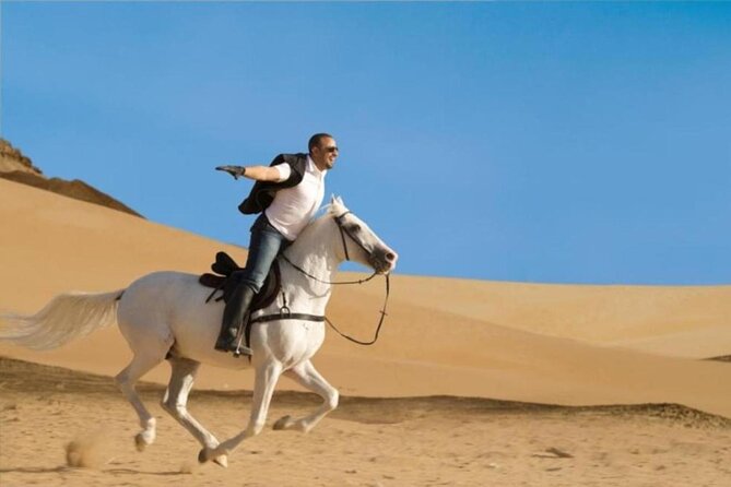 ATV Quad Bike Safari and 1-Hour Horse Riding - Sharm El Sheikh - Customer Reviews