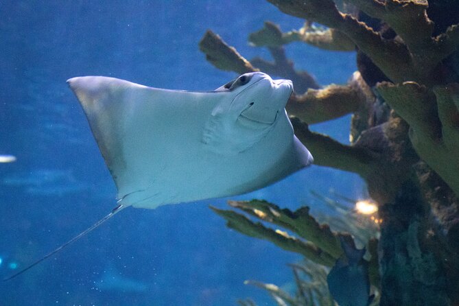 Audubon Aquarium & Insectarium Ticket - Reviews and Ratings