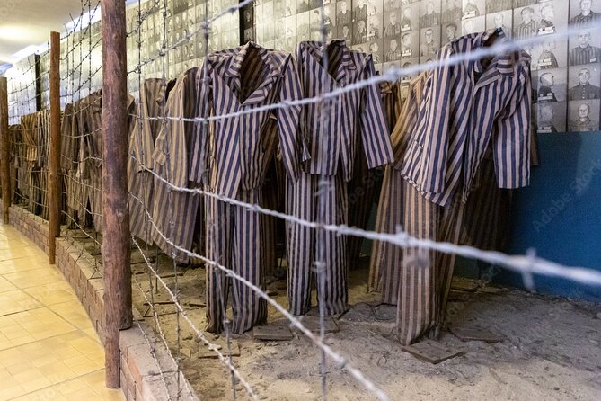 Auschwitz Birkenau From Krakow Private Tour - Accessibility Information