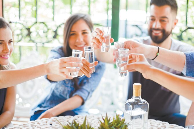 Authentic Ancestral and Artisanal Mezcal & Tequila Tasting - Accessibility Features