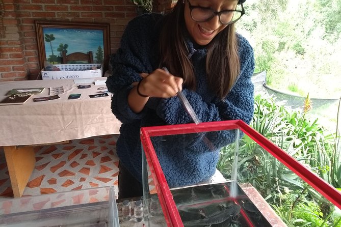 Axolotl Tour From CDMX - Customer Experiences