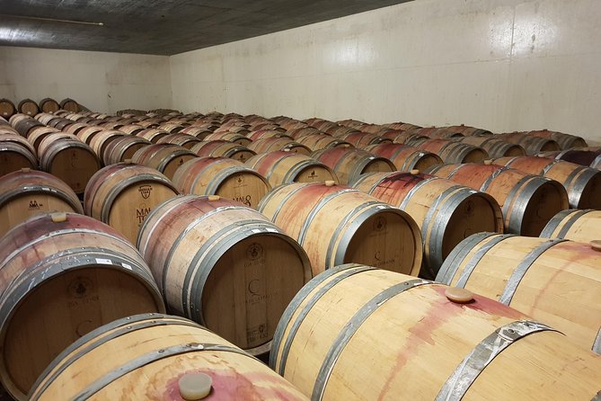 Azeitão and Alentejo Wine and Food Tour - Accessibility Features