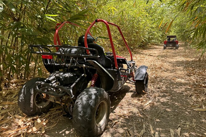 Bamboo Dune Buggy Tour - Meeting and Pickup