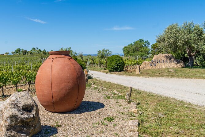 Barumini Su Nuraxi and Wine Tasting - Recommendations and Restrictions