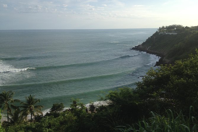 Beaches Dolphins And Viewpoints Discovering The Hidden Port By Sea And Land - Culinary Delights of Oaxaca