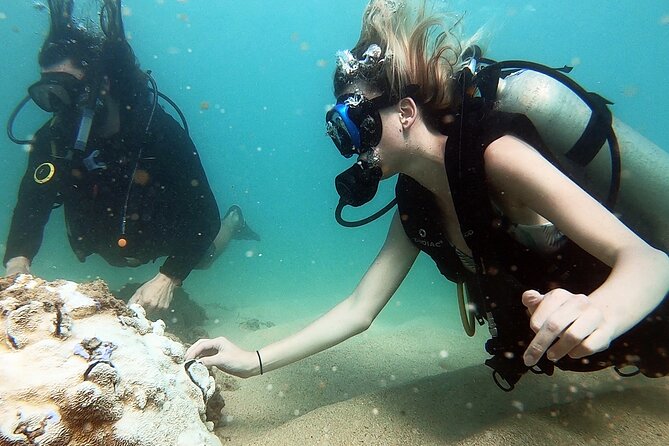 Beginner Scuba Diving Experience With Videos in West Palm Beach - Health and Safety Requirements