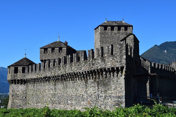 Bellinzona Private Walking Tour With Professional Guide - Accessibility Information