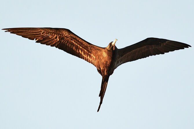 Best Birdwatching Lagoon Tour - Meeting and Pickup Details