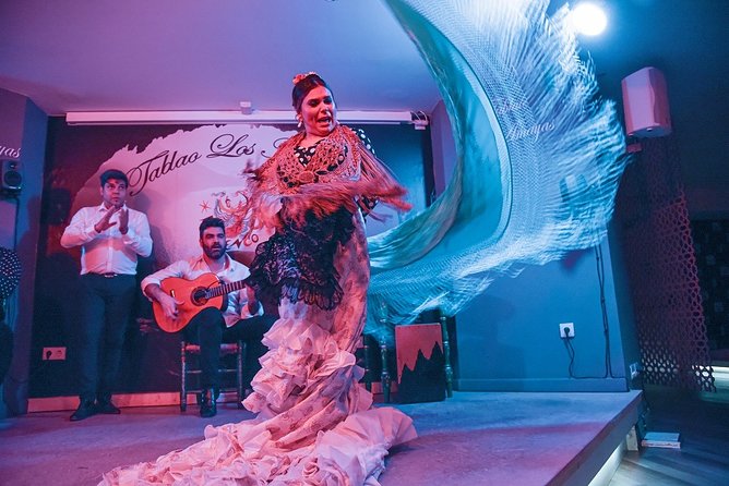 BEST OF Granada: Flamenco, Tapas and Wine Tour - Immersive Cultural Experience