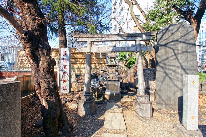 Best of Tokyo City Walking Tour for Kids and Families - Meeting and End Points