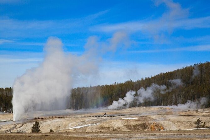 Best of Yellowstone Natl Park Review - Booking and Flexibility