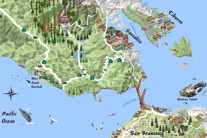 Best San Francisco, Muir Woods & Sausalito Tour Review