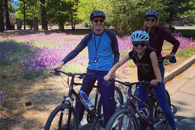 Big Bear Bike Tours Review: A Ride to Remember - Scenic Views and Sights