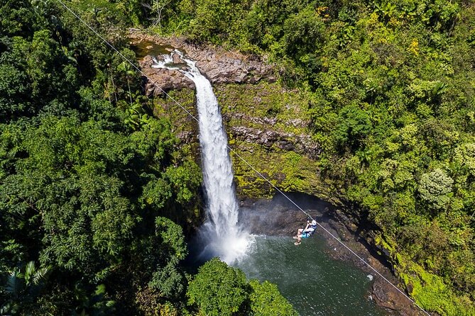 Big Island Zipline Over Kolekole Falls W/ Hilo Cruise Ship Pickup - Convenient Pickup Location and Time