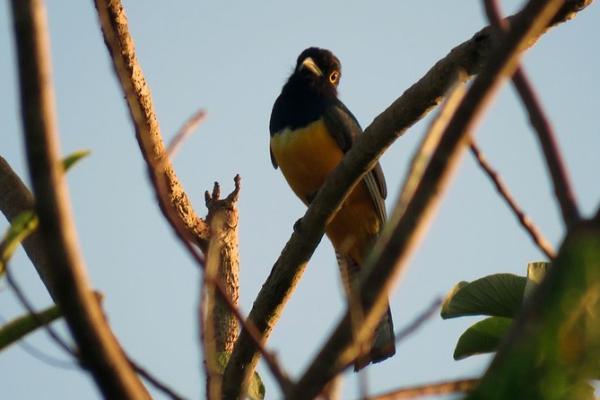 Birdwatching Sian Kaan Biosphere Reserve - Included Amenities