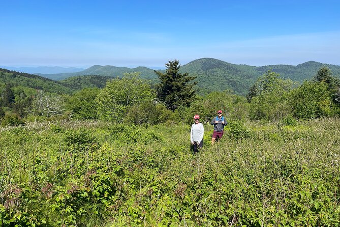 Blue Ridge Mtns Hiking Tour With the Areas Top Rated Trail Expert - Meeting and Pickup Details