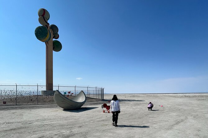 Bonneville Salt Flats Adventure - Discovering the Unique Wildlife of the Salt Flats